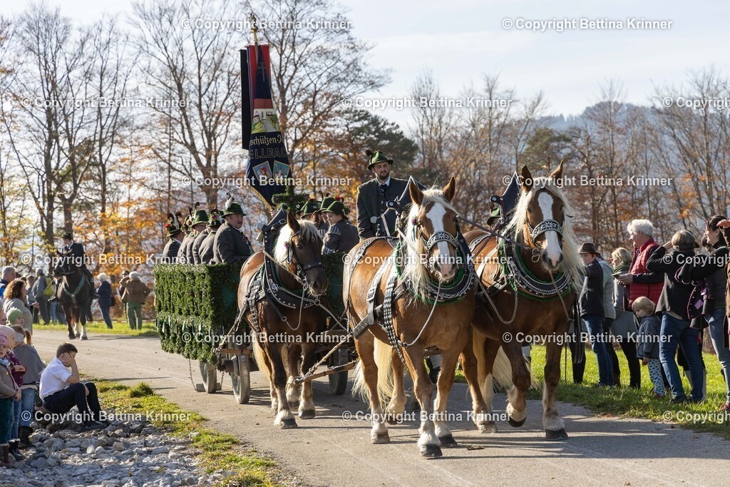 LBT24-1159 | foto-bettina-krinner - Realisiert mit Pictrs.com
