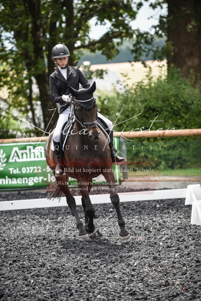 DSC_4695 | Pferde- und Turnierfotografie in Westsachsen. Pferdeportraits, Auftragszeichnungen und intuitive Kunst.