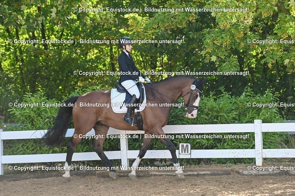 20230716_04_Dressurreiterprüfung Kl.A_0139 | equistock