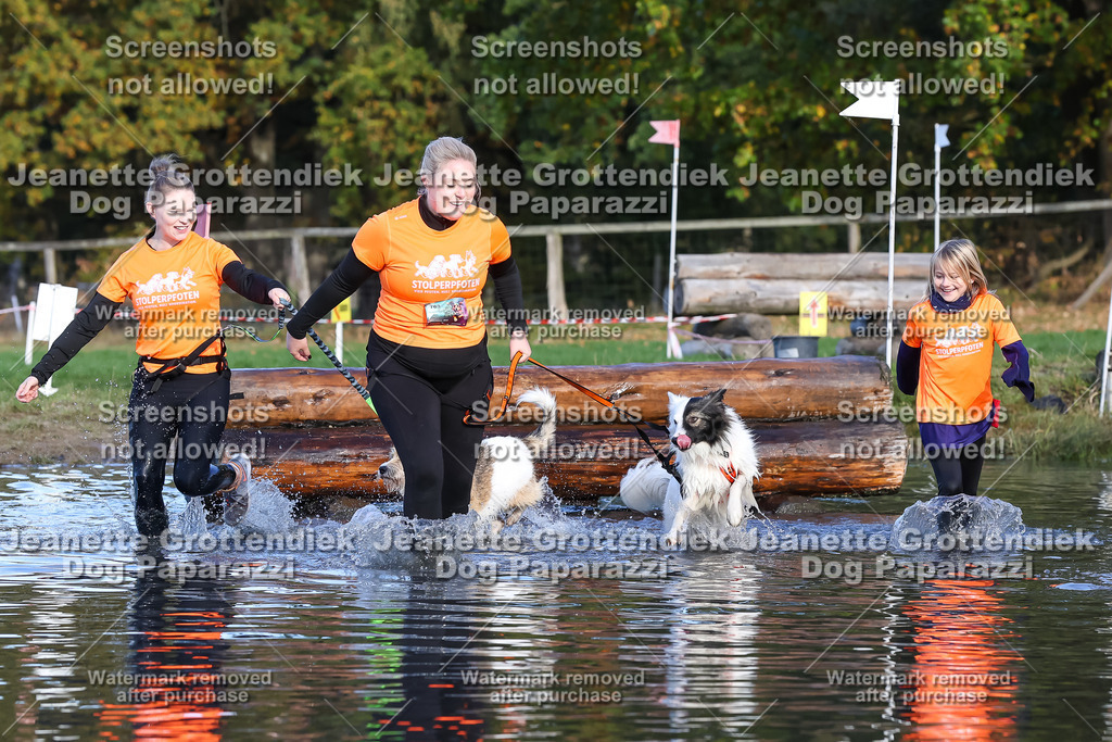 Dog Paparazzi - Strongdog 10-25-8568 | Dog Paparazzi Jeanette Grottendiek Fotografie & Videografie - Realisiert mit Pictrs.com