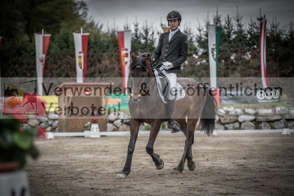 DSC_9367 | equestrian-live-com