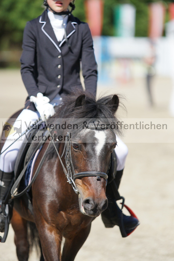 DSC06087 | equestrian-live-com