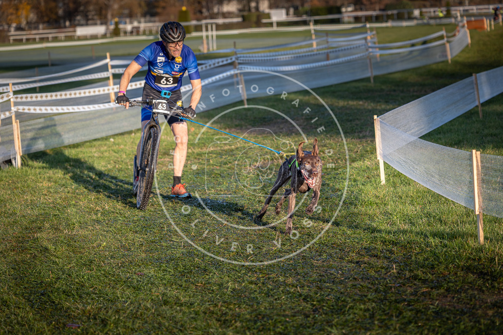 CaniXpix_0L8A3125 | Hundefotografie, Tierfotograf, Pfotenfotografie, Fotoshooting Hund, Hunde Portrait, Hundesport, Hundeportraits, Heideshooting, Hunde, Sportfotograf, Hundefotograf, Turnierhundsport, THS,  - Realisiert mit Pictrs.com