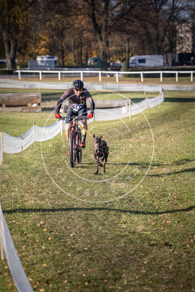 CaniXpix_DV3A2369 | Hundefotografie, Tierfotograf, Pfotenfotografie, Fotoshooting Hund, Hunde Portrait, Hundesport, Hundeportraits, Heideshooting, Hunde, Sportfotograf, Hundefotograf, Turnierhundsport, THS,  - Realisiert mit Pictrs.com