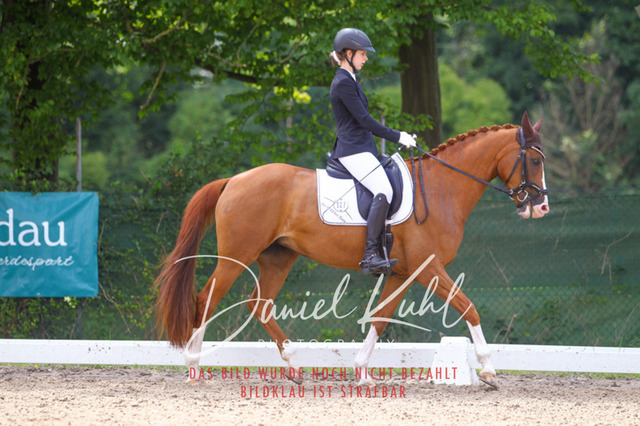 DKP42116 | Turniersportfotografie; Pferdefotografie; Dressurfotografie