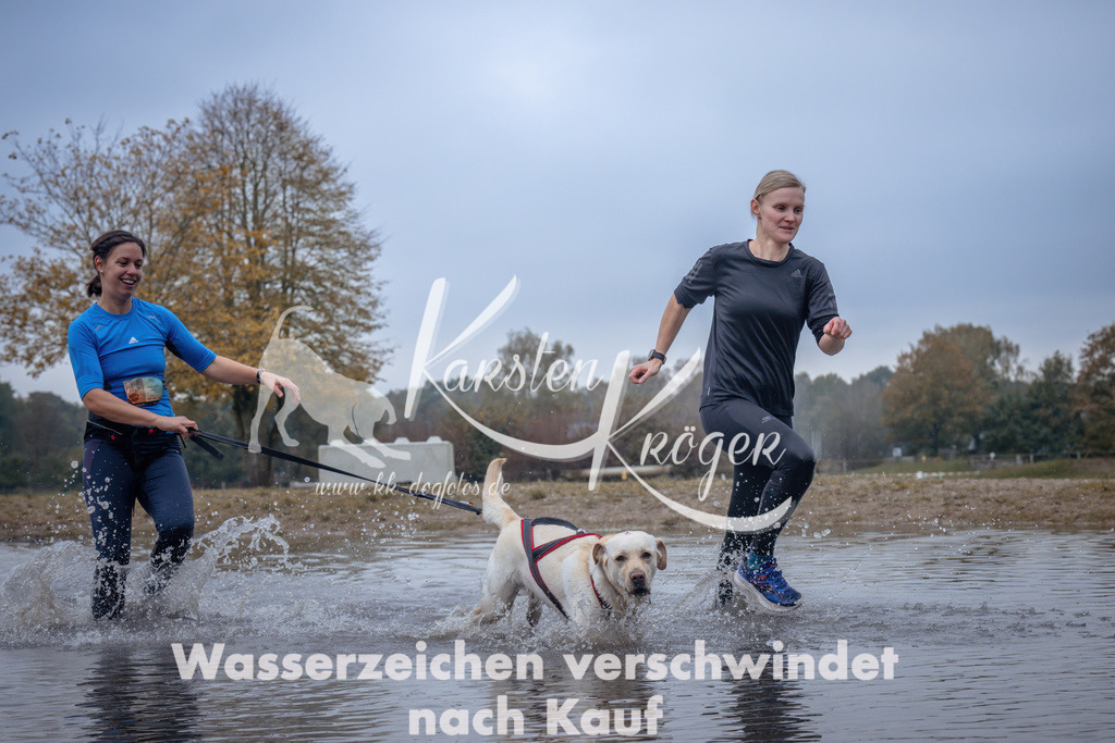1156_ZZ97566 | kk-dogfotos
