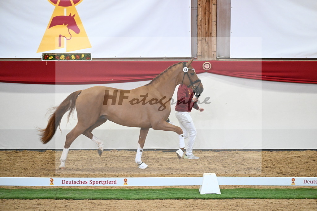 Kat.-Nr. 48 v. De Niro Gold_Schulze Averdiek_2250125 | hf-fotografie - Realisiert mit Pictrs.com