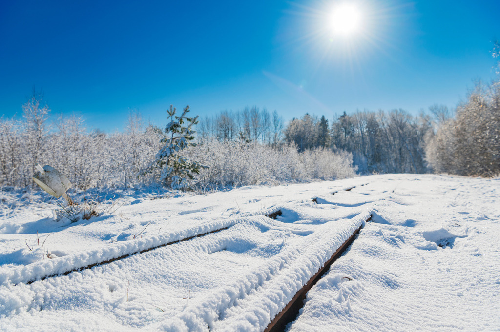 2023_03_11_MCP7262 | Hochwertig gedruckte Fotografien für die Wand, als Kalender und zum Verschenken. Hamburg & Norddeutschland und überall wo ich mit der Kamera unterwegs war.