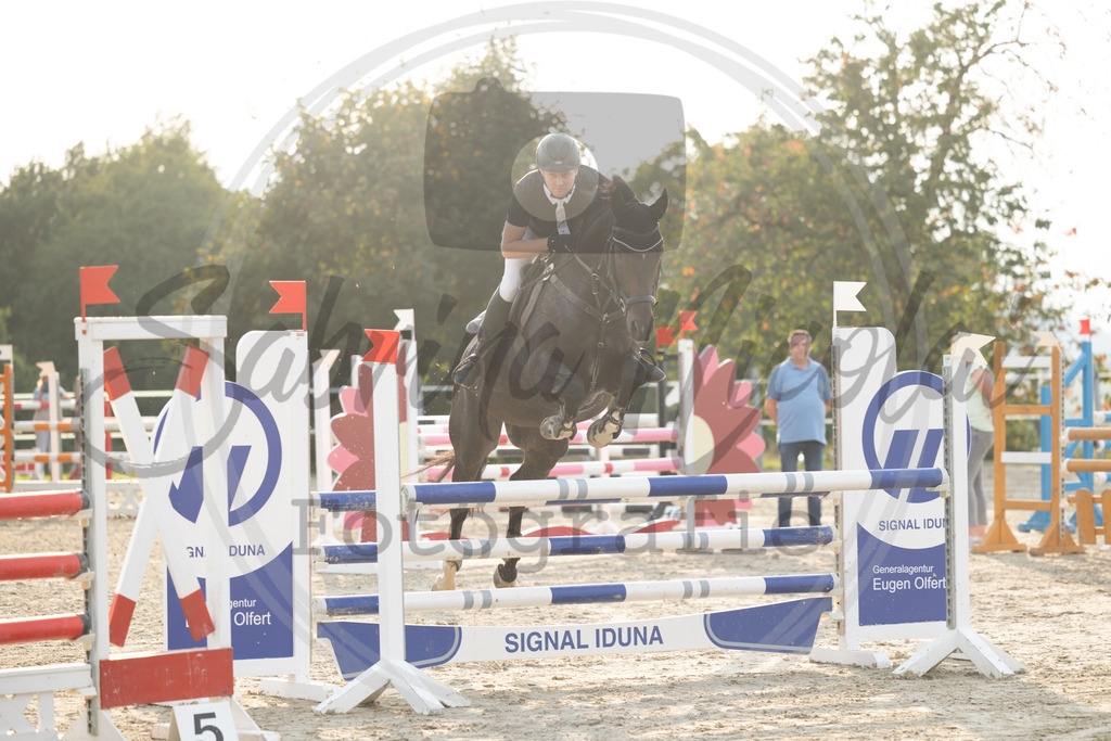 994A2194 | sabrinanicolaifotografie - Realisiert mit Pictrs.com