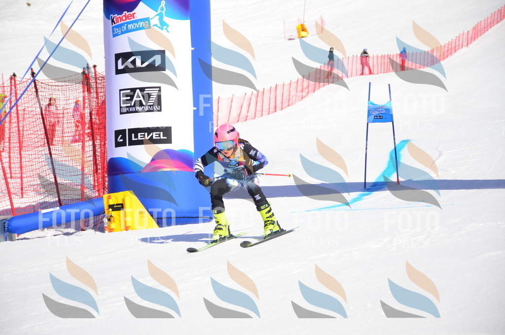 VR4_8562 | holidayphoto