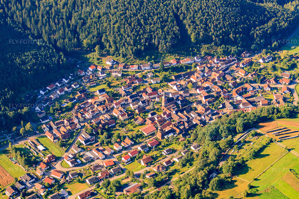Luftbild: Waldstr in Vorderweidenthal im Bundesland Rheinland-Pfalz in Deutschland. Foto: IMG_31007.jpg vom 07.08.2010 durch Werner Riehm/FLY-FOTO.de