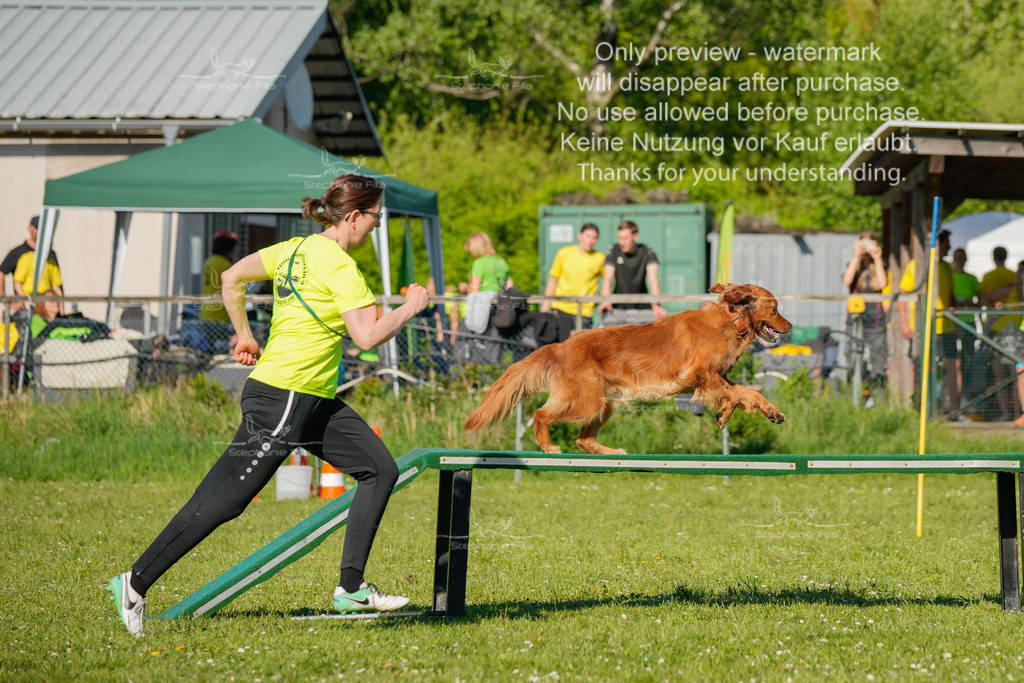 Sa_CSC-485 | stephaniefillaphotographie - Realisiert mit Pictrs.com