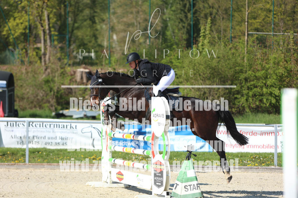 IMGM2498 | pl-fotografie