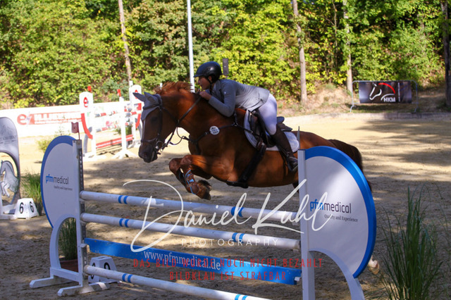 DKP43487 | Turniersportfotografie; Pferdefotografie; Dressurfotografie