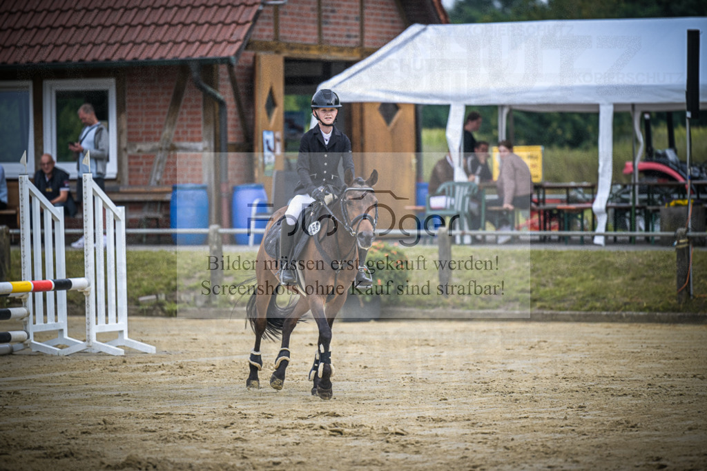 DOS_0328 | Entdecke hochwertige Reitturnierfotos von Foto Oger. Professionell, emotional und authentisch – jetzt Lieblingsmomente im Shop bestellen.Deutschlandweite Turnierfotografie. - Realisiert mit Pictrs.com