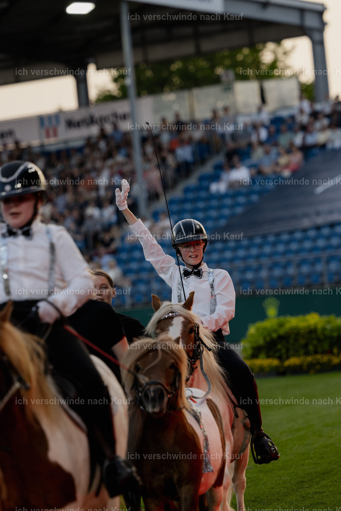 TSCHIO26_PferdundSinfonie_StoibphotographyTSCHIO26_Pferd-Sinfonie_Stoibphotography_AM10875.CR3.jpg | working equitationturnier fotograf videograf stoibphotography marixx film working equitation deutschland reitsport turnierfotografie eventfotografie equestrian events