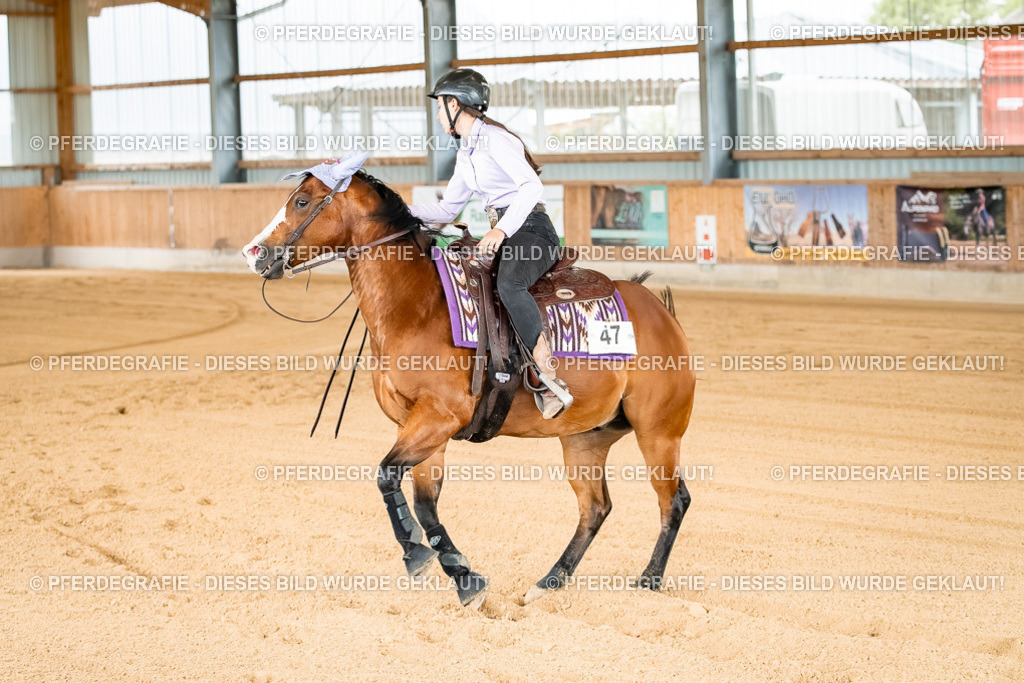 DSC02093 | Pferdegrafie