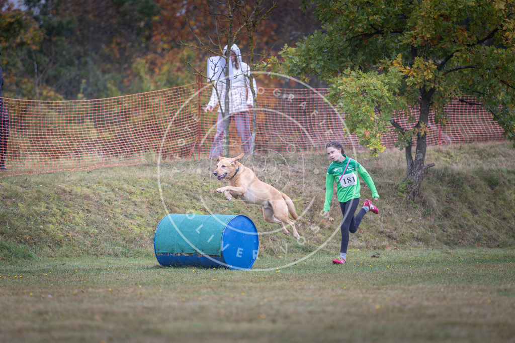 Pfotenfotografie_DV3A0314 | Hundefotografie, Tierfotograf, Pfotenfotografie, Fotoshooting Hund, Hunde Portrait, Hundesport, Hundeportraits, Heideshooting, Hunde, Sportfotograf, Hundefotograf, Turnierhundsport, THS,  - Realisiert mit Pictrs.com