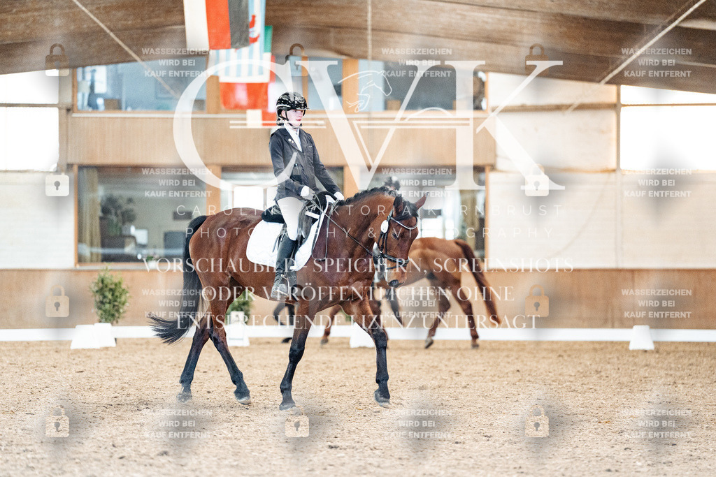 CK908696 | Turnierfotografie Pferdefotografie Trier Rheinland-Pfalz Pferdesport Reitsport Tierfotografie Sportfotografie Pferdevideo Pferdevideografie Equestrianvideography equestrianphotography  - Realisiert mit Pictrs.com