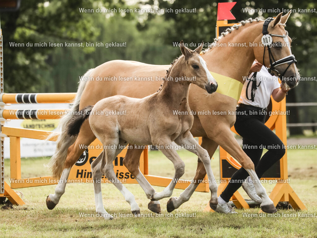 598A2643-2 | photographylinaismer - Realisiert mit Pictrs.com