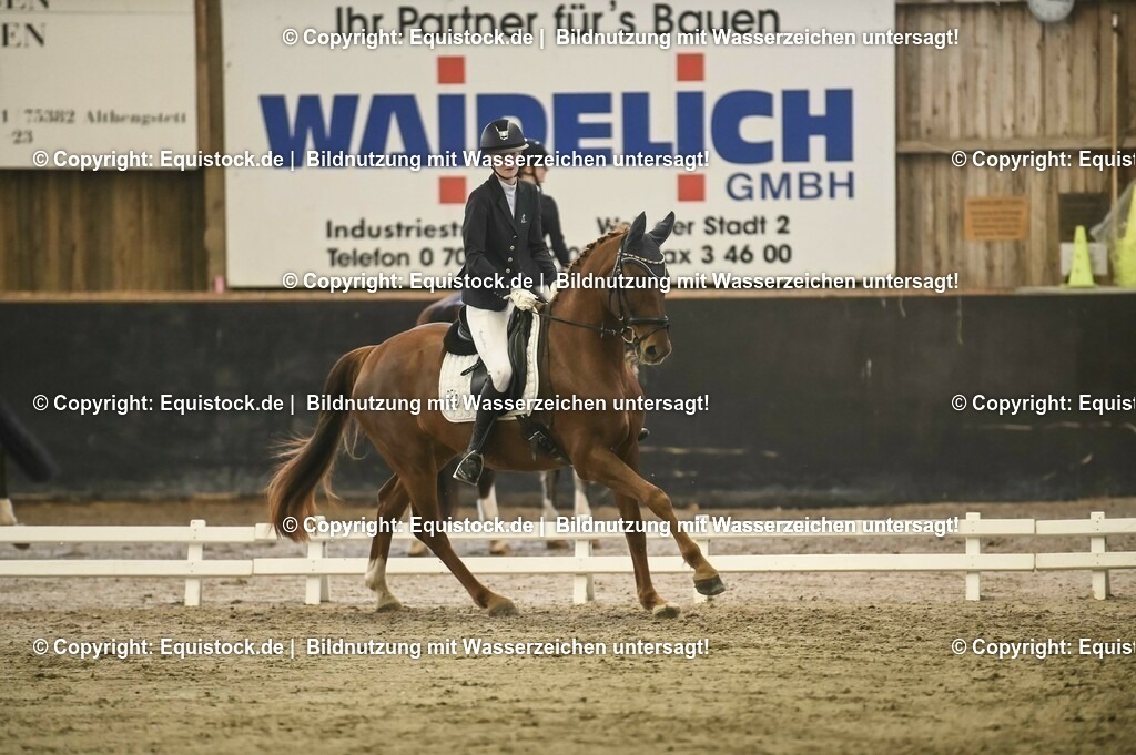 20231029_04_Dressur-WB_0101 | Foto: Thomas Hartig