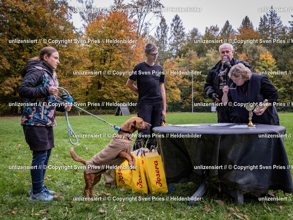 Sven Pries | 2024-10-19 - Hunderennen Ober-Grombach - Realisiert mit Pictrs.com