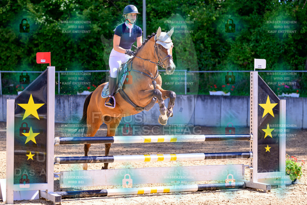 29082026-Giesenbach-Prfg10-0492 | Fokus Hufschlag Fotografie - Realisiert mit Pictrs.com