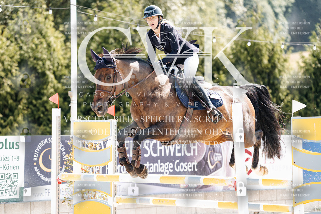 CK908665 | Turnierfotografie Pferdefotografie Trier Rheinland-Pfalz Pferdesport Reitsport Tierfotografie Sportfotografie Pferdevideo Pferdevideografie Equestrianvideography equestrianphotography  - Realisiert mit Pictrs.com