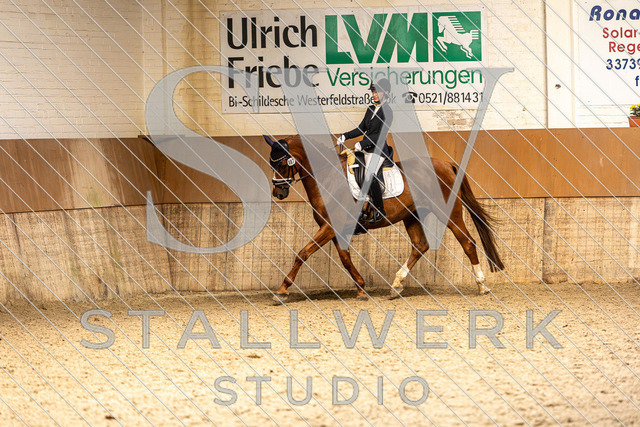 2L2A5037 | stallwerkstudio - Realisiert mit Pictrs.com
