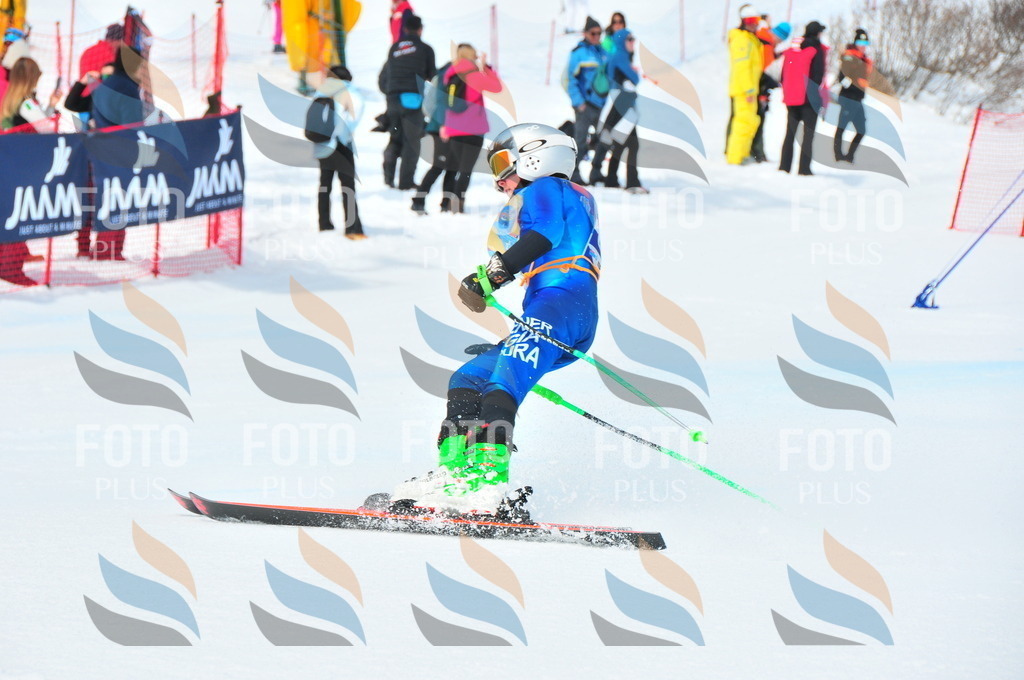 DSC_2275 | holidayphoto