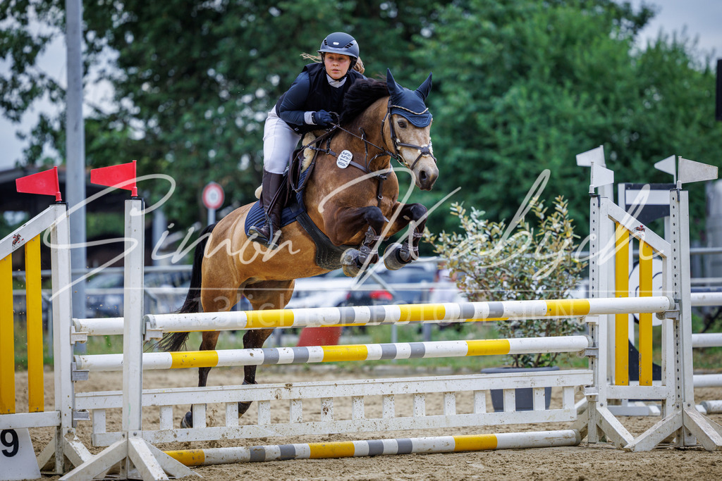 20260705-_3LI5413 | Tierfotografie Pferde, Hunde, Katzen, Haustiere.
Turnierfotografie Reitturniere, Reiten, Springreiten, Dressur in Hanau, dem Main-Kinzig-Kreis und dem Rhein-Main- Gebiet um Frankfurt