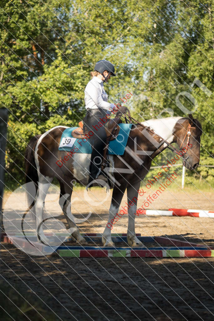 IMG_6579 | Sport-, Event- und Tierfotos in Profiqualität. Einfach auswählen, bestellen und herunterladen. Dein Moment – perfekt festgehalten.