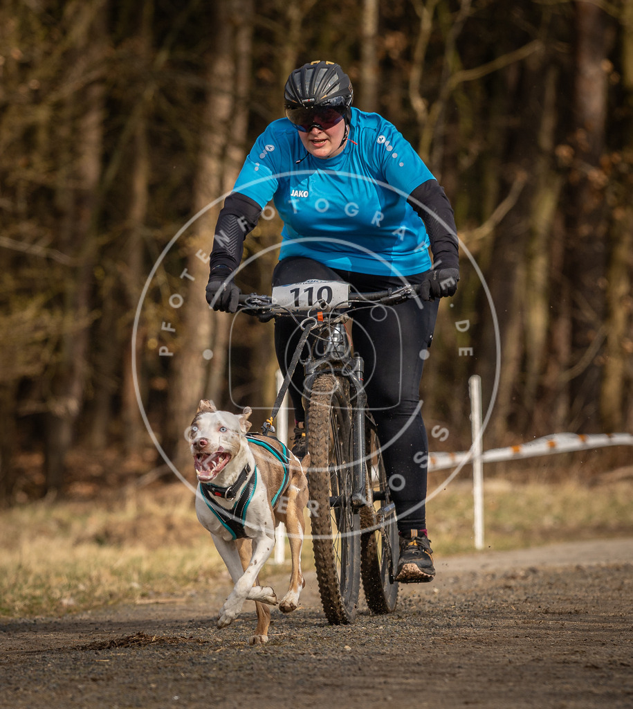 DV3A4285 | Hundefotografie, Tierfotograf, Pfotenfotografie, Fotoshooting Hund, Hunde Portrait, Hundesport, Hundeportraits, Heideshooting, Hunde, Sportfotograf, Hundefotograf, Turnierhundsport, THS,  - Realisiert mit Pictrs.com