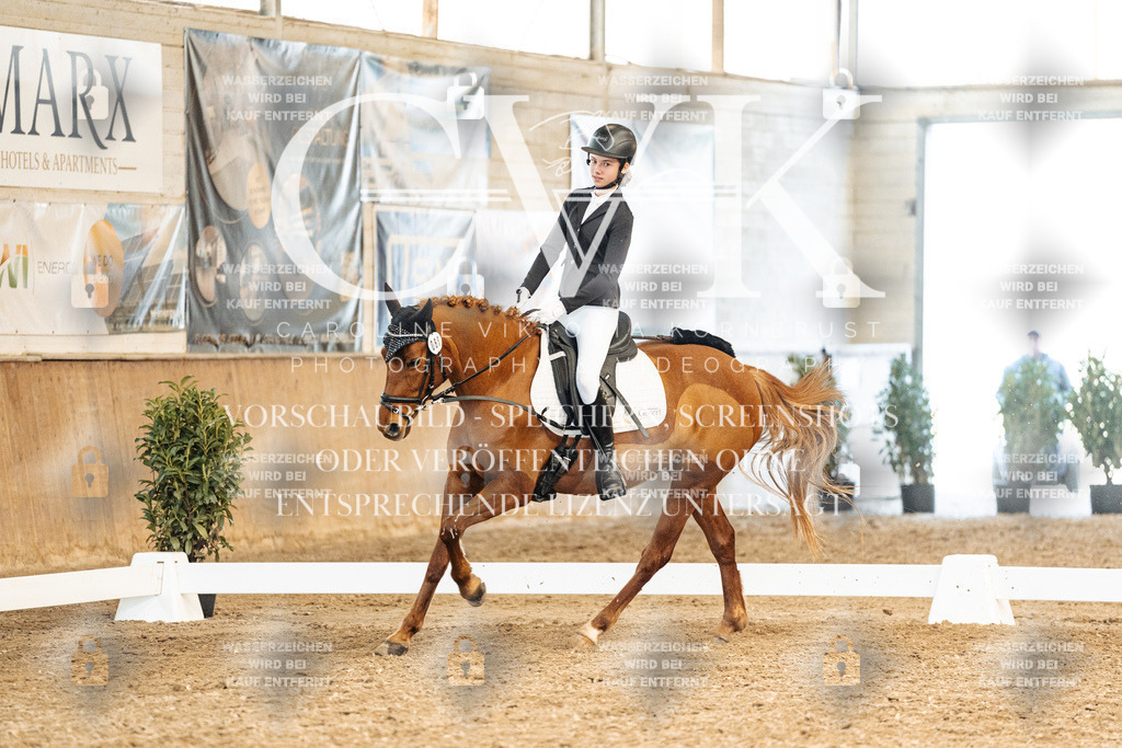 CK900535 | Turnierfotografie Pferdefotografie Trier Rheinland-Pfalz Pferdesport Reitsport Tierfotografie Sportfotografie Pferdevideo Pferdevideografie Equestrianvideography equestrianphotography  - Realized with Pictrs.com