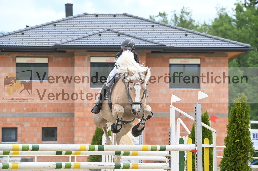 DSC_8491 | equestrian-live-com