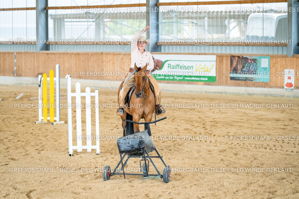 DSC07326 | Pferdegrafie