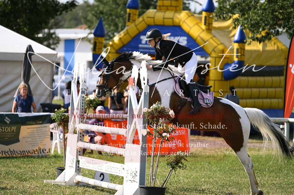 DSC_1105 | Pferde- und Turnierfotografie in Westsachsen. Pferdeportraits, Auftragszeichnungen und intuitive Kunst.