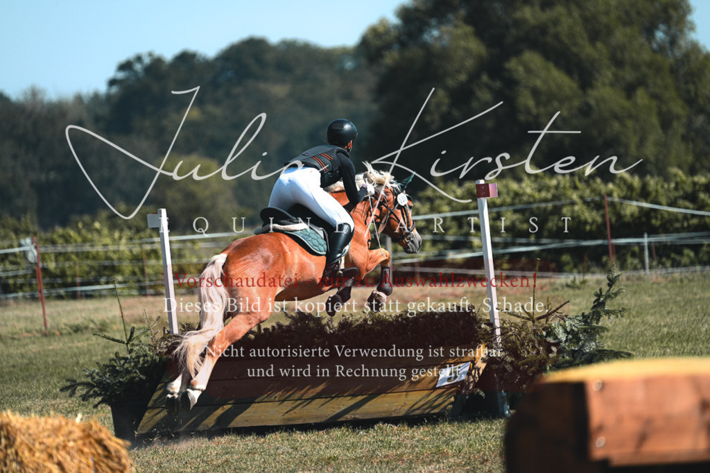 DSC_8075 | Pferde- und Turnierfotografie in Westsachsen. Pferdeportraits, Auftragszeichnungen und intuitive Kunst.