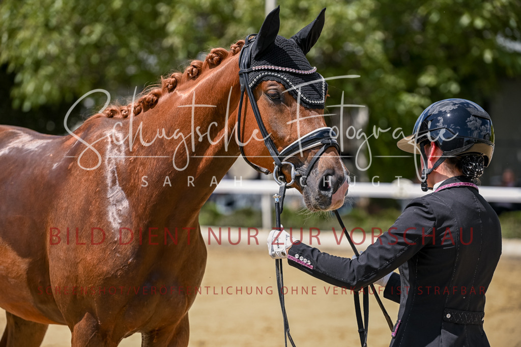 Schugtsche-Aluta25-48.Reitpferfdeprf.-311 | Schugtsche Fotografie - Realisiert mit Pictrs.com