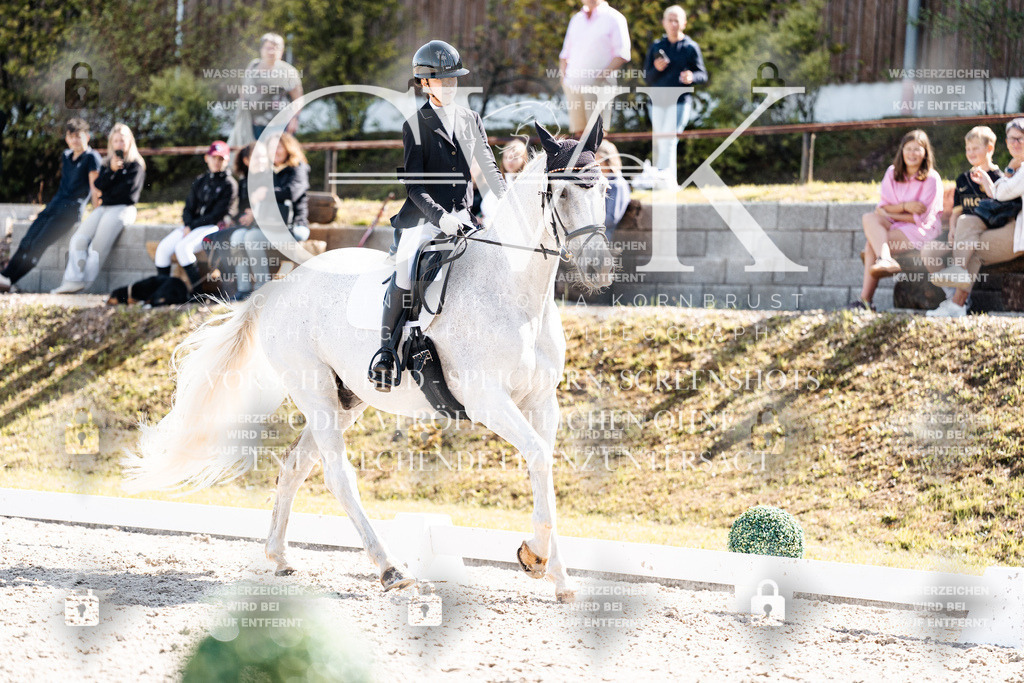 CK902982 | Turnierfotografie Pferdefotografie Trier Rheinland-Pfalz Pferdesport Reitsport Tierfotografie Sportfotografie Pferdevideo Pferdevideografie Equestrianvideography equestrianphotography  - Realisiert mit Pictrs.com