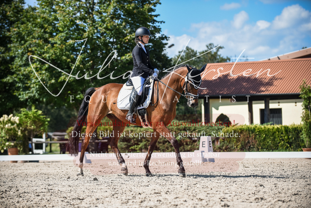 DSC_9579 | Pferde- und Turnierfotografie in Westsachsen. Pferdeportraits, Auftragszeichnungen und intuitive Kunst.