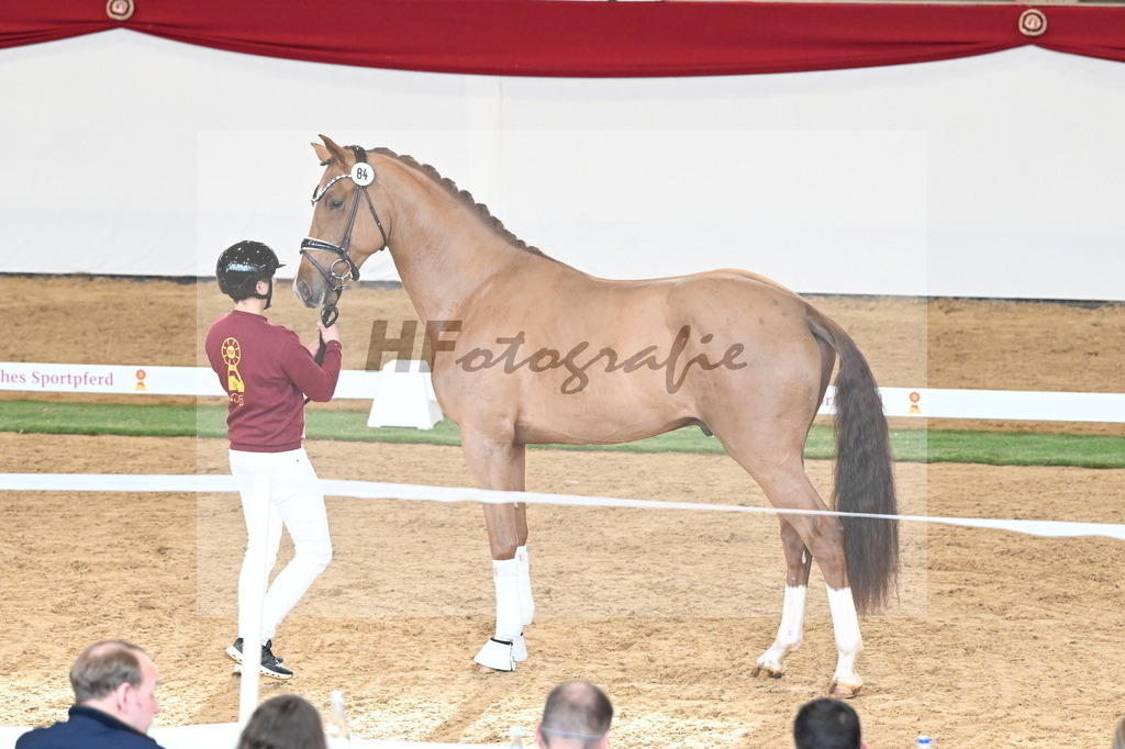 Kat.-Nr. 84 v. Vaderland_van den Oetelaar_2250804 | hf-fotografie - Realisiert mit Pictrs.com