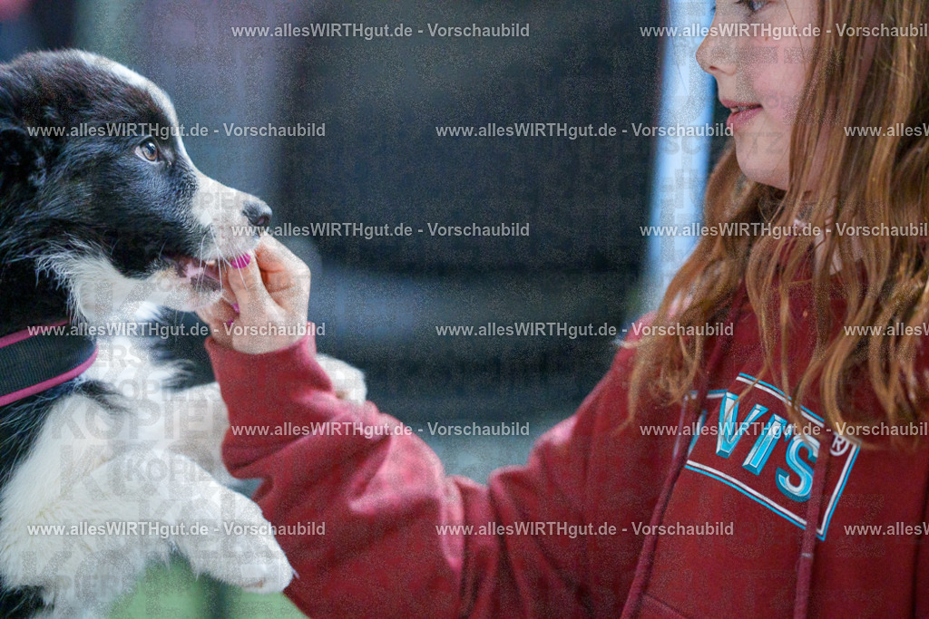 @allesWIRTHgut_Tierfotografie - www.allesWIRTHgut.de - 2604251328-7R503709 | Professionelle Tierfotografie in Mönchengladbach von Daniel Wirth (allesWIRTHgut). Liebevolle & natürliche Bilder von Hunden & Katzen für unvergessliche Erinnerungen.