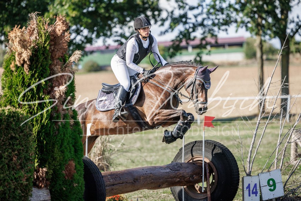 20260905-_3LI0270 | Tierfotografie Pferde, Hunde, Katzen, Haustiere.
Turnierfotografie Reitturniere, Reiten, Springreiten, Dressur in Hanau, dem Main-Kinzig-Kreis und dem Rhein-Main- Gebiet um Frankfurt