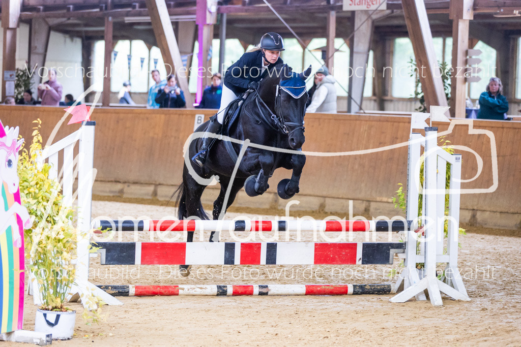 Sth-E-Springen-037 | MomenTaufnahmen Pferdesportfotos