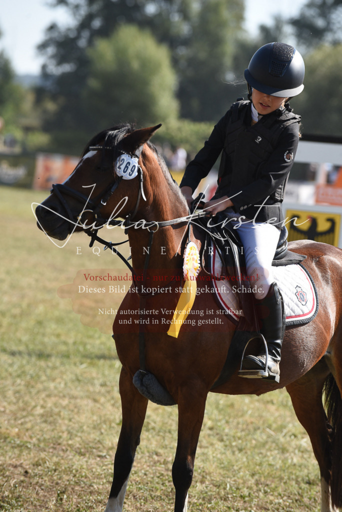 DSC_6145 | Pferde- und Turnierfotografie in Westsachsen. Pferdeportraits, Auftragszeichnungen und intuitive Kunst.