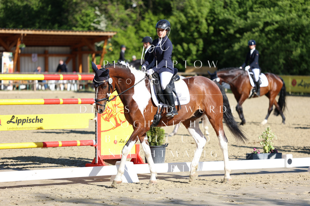 IMGT2767 | pl-fotografie