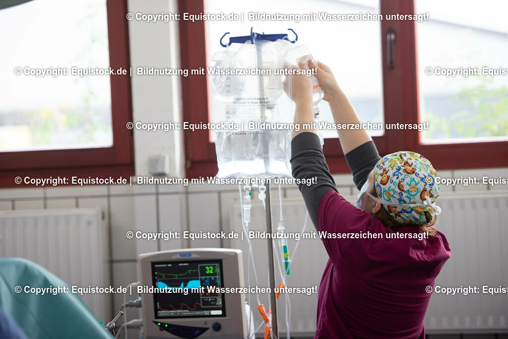 20191022_Kolik_OP_0111 | equistock