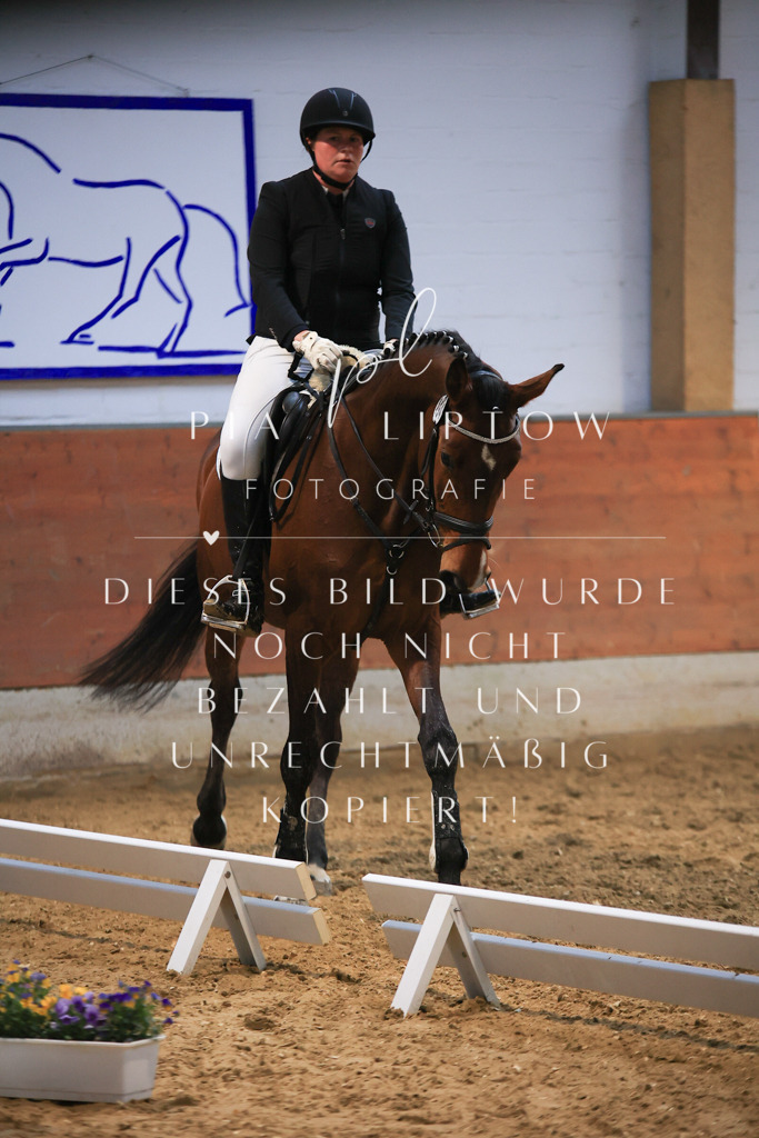 IMGT1656 | pl-fotografie