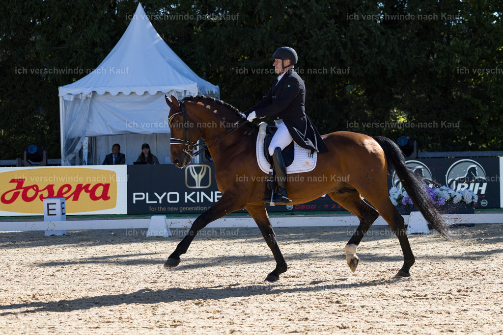 FHC2026_P07_168_17519 | working equitationturnier fotograf videograf stoibphotography marixx film working equitation deutschland reitsport turnierfotografie eventfotografie equestrian events